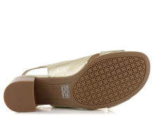 petunia sling back low heel shoe-12-25605-01-plat