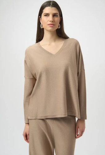 Sparkly V nk sweater - 244921F25-4455