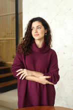 dog walker sweater-EV8064-bry