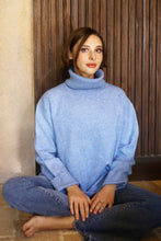 dog walker sweater-EV8003