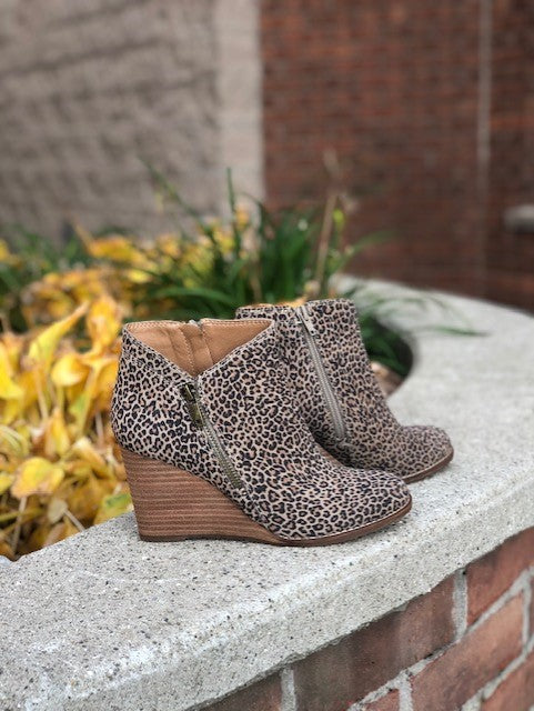 Leopard 2024 wedge booties